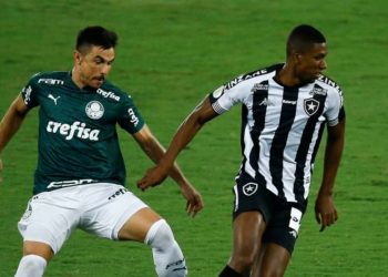 Confira o histórico de confrontos entre Palmeiras x Botafogo