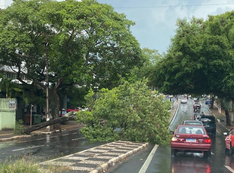 Temporal derruba árvores e arranca telhados em Ciudad del Este