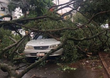 Temporal derruba árvores e arranca telhados em Ciudad del Este