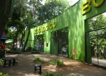 Dia Internacional da Mulher terá passeata contra o machismo em Foz do Iguaçu