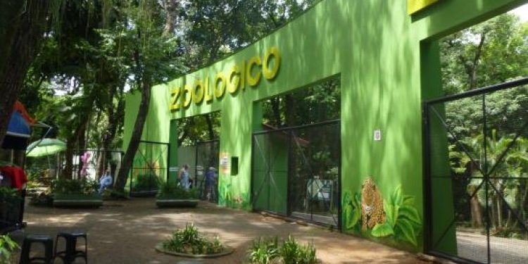 Dia Internacional da Mulher terá passeata contra o machismo em Foz do Iguaçu