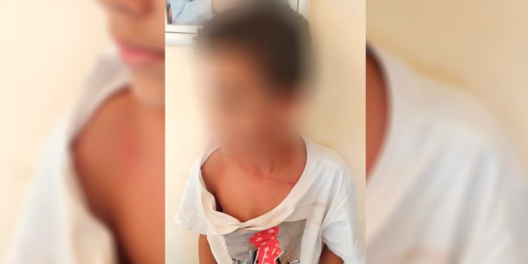 Paraná: Criança é agredida por comerciante ao gritar ‘Palmeiras não tem Mundial’