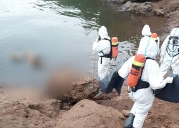 Corpo encontrado na margem argentina do Rio Paraná é de um paraguaio