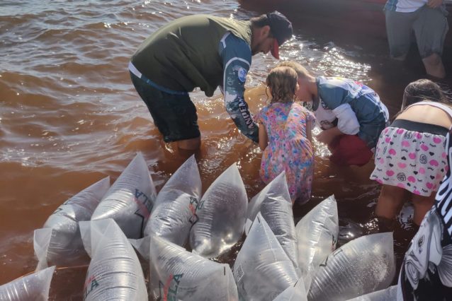 soltura-peixes-rio-paraná