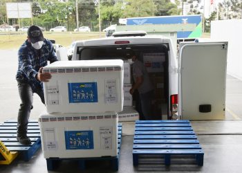 Mais de 805 mil vacinas contra a Covid-19 chegam ao Paraná nesta segunda