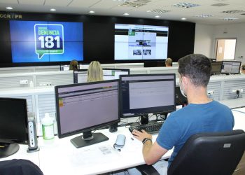 Tráfico de drogas e maus-tratos a animais lideram comunicações de crimes ao Disque Denúncia 181