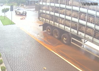 Câmera registra porco caindo de caminhão em São Miguel do Iguaçu