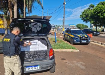 Mais de 6 mil maços de cigarros contrabandeados são apreendidos pela PRF
