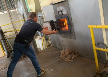 Polícia Civil realiza incineração de mais de 7 toneladas de drogas