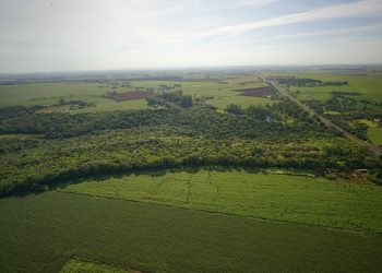 Itaipu, Instituto LIFE e PTI testam padrão de sustentabilidade em territórios do Brasil e Paraguai