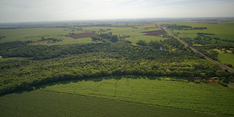 Itaipu, Instituto LIFE e PTI testam padrão de sustentabilidade em territórios do Brasil e Paraguai