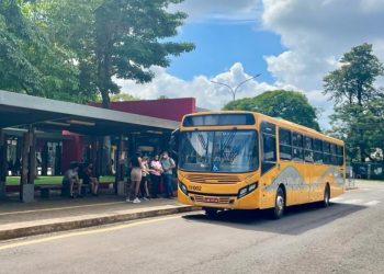 Veja os novos horários e linhas do transporte coletivo