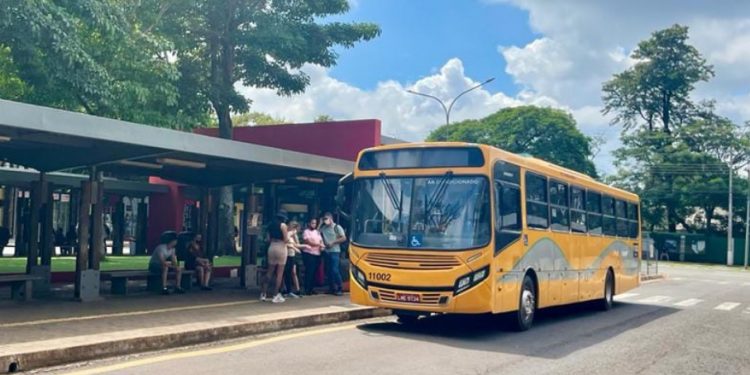 Veja os novos horários e linhas do transporte coletivo
