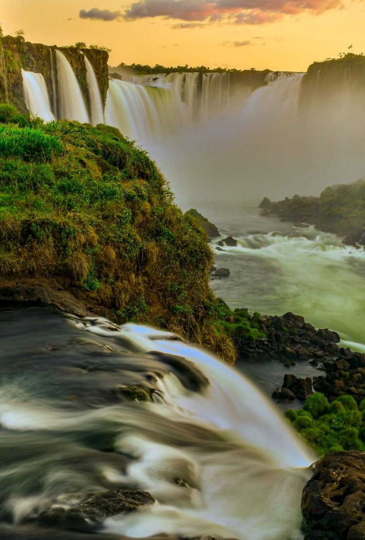 “Belezas do Parque” ganha exposição em Foz do Iguaçu
