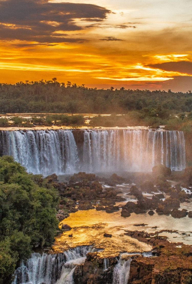 “Belezas do Parque” ganha exposição em Foz do Iguaçu