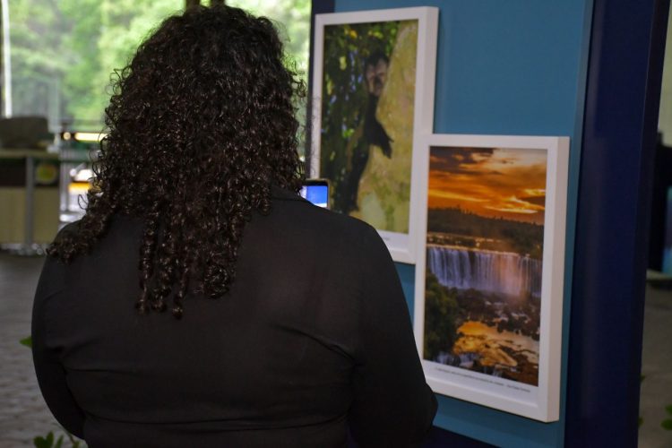 “Belezas do Parque” ganha exposição em Foz do Iguaçu