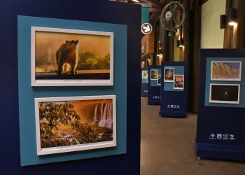 “Belezas do Parque” ganha exposição em Foz do Iguaçu