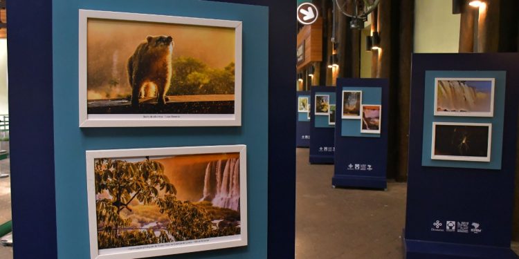 “Belezas do Parque” ganha exposição em Foz do Iguaçu