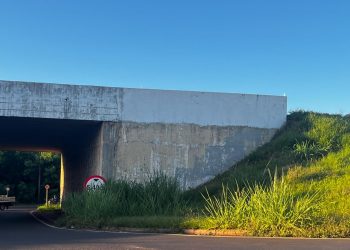 Morador reclama de mato cobrindo placa no viaduto de Três Lagoas