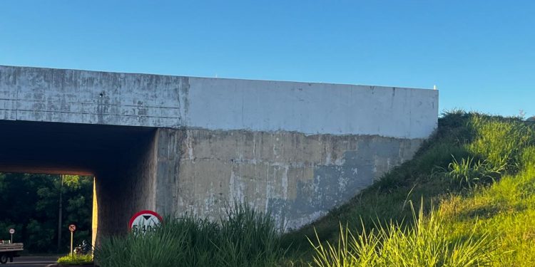 Morador reclama de mato cobrindo placa no viaduto de Três Lagoas