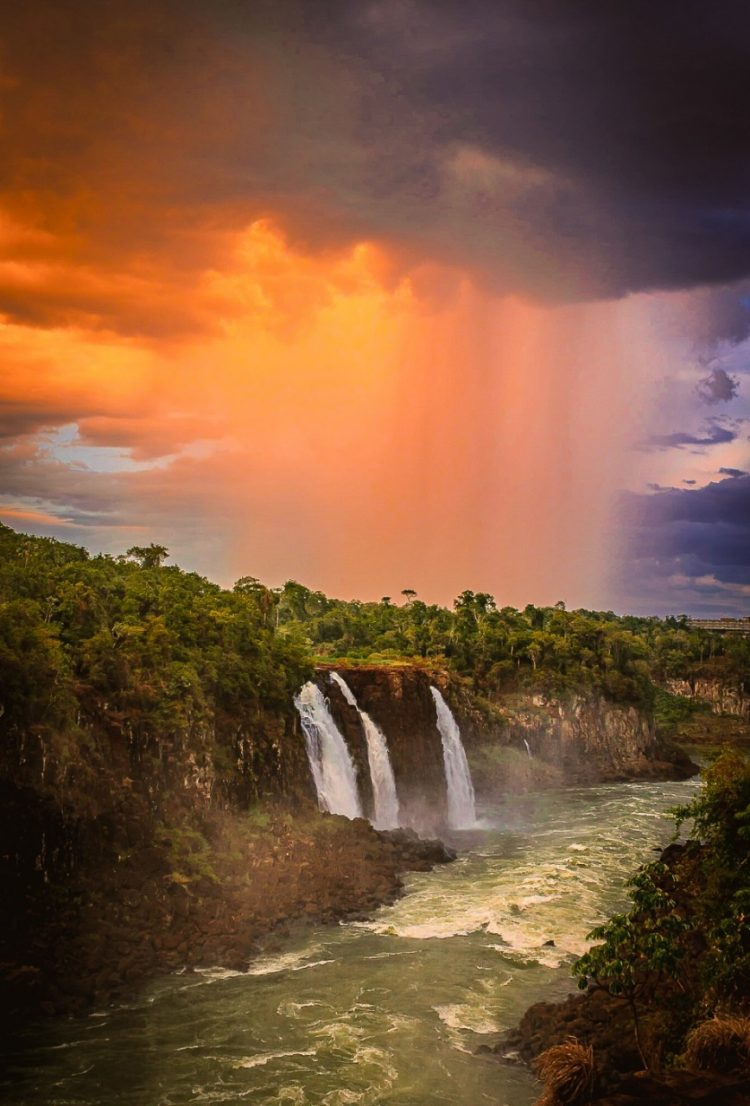 “Belezas do Parque” ganha exposição em Foz do Iguaçu