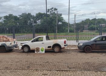 BPFRON apreende carga de R$400.000,00 reais de agrotóxicos e cigarros paraguaios