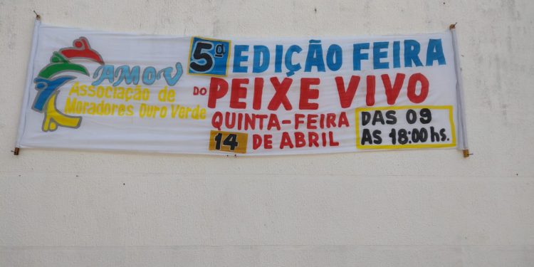 Feira do Peixe Vivo acontece nesta quinta-feira, 14