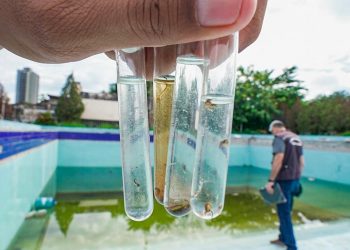 Foz do Iguaçu vai intensificar as medidas de prevenção contra a dengue