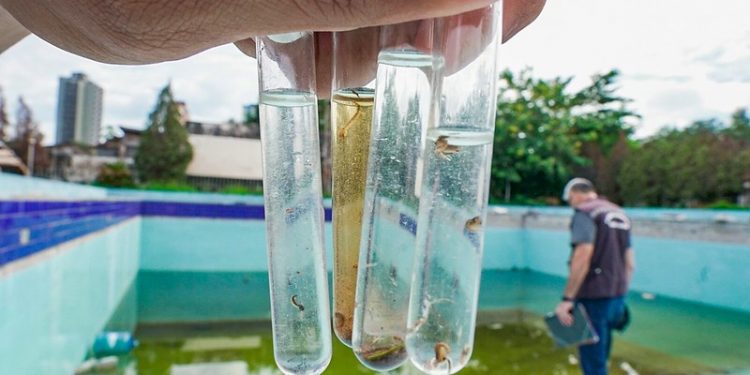 Foz do Iguaçu vai intensificar as medidas de prevenção contra a dengue