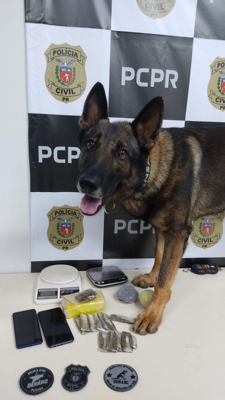 Polícia Civil cumpre mandados de busca e apreensão e mandados de prisão em Foz
