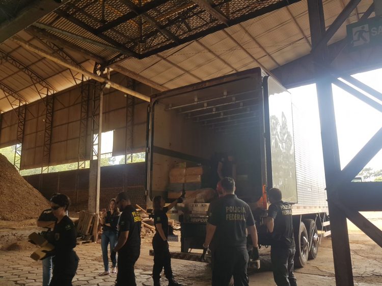 Polícia Federal incinera mais de duas toneladas de drogas