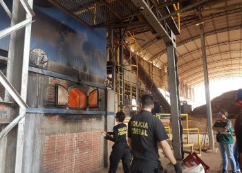 Polícia Federal incinera mais de duas toneladas de drogas