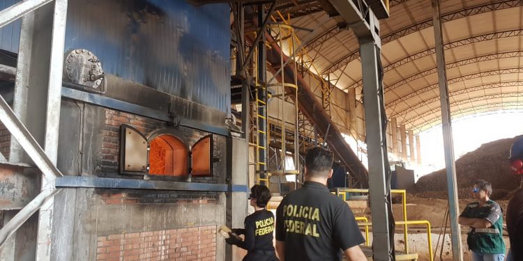 Polícia Federal incinera mais de duas toneladas de drogas