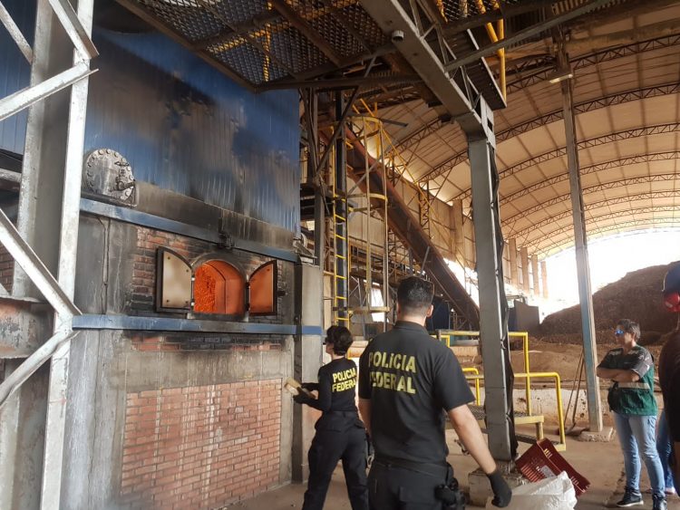 Polícia Federal incinera mais de duas toneladas de drogas