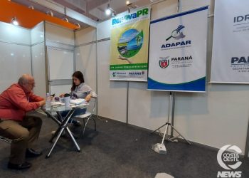 AveSui 2022: IDR-Paraná apresenta programas de implantação de energias renováveis