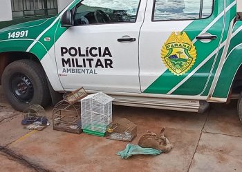 Homem é flagrado com animais silvestres na Avenida das Cataratas