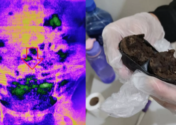 Mulher é flagrada com drogas nas partes íntimas ao tentar entrar na PEF II