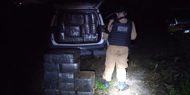 Rotam apreende grande quantidade de maconha na Favela Monsenhor