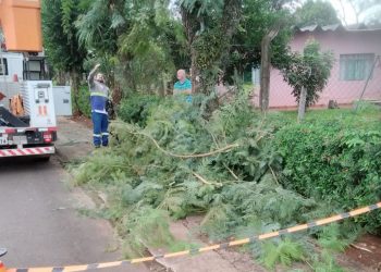 Copel promove mutirão de manutenção e limpeza nas regiões Oeste e Sudoeste