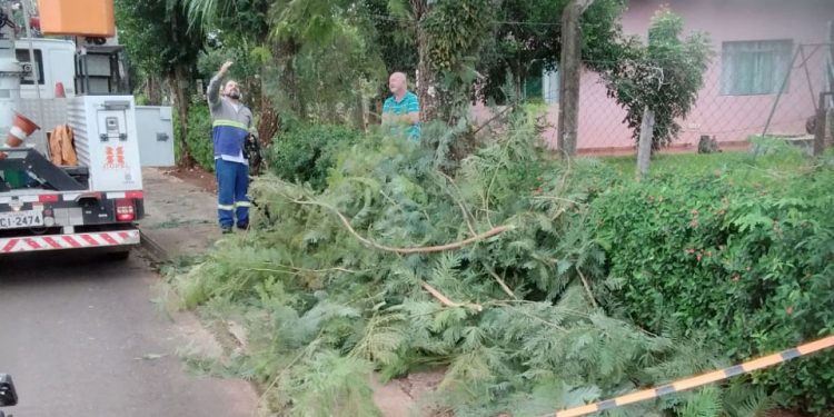 Copel promove mutirão de manutenção e limpeza nas regiões Oeste e Sudoeste