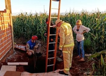 Garota cai em poço e é resgatada pelos Bombeiros em Foz do Iguaçu