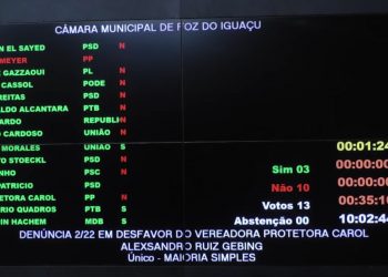 Vereadores rejeitam pedido de cassação contra Protetora Carol, por 10 votos a 3