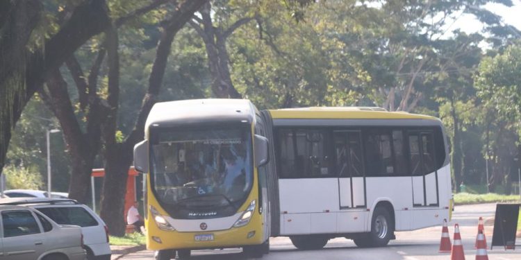 Frota do transporte coletivo terá ônibus articulado a partir de segunda-feira (16)