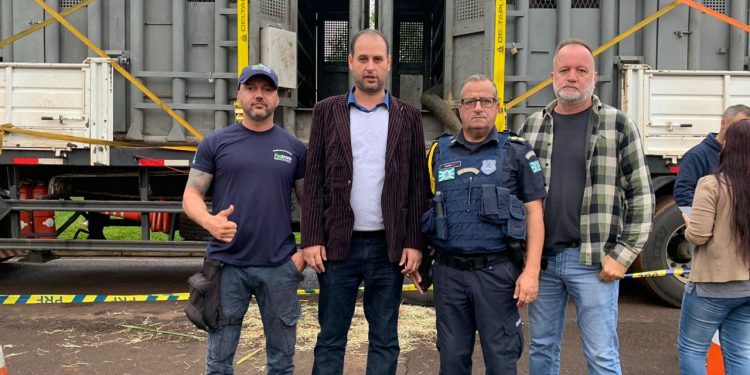 Prefeitura de Foz auxilia forças de segurança na chegada de elefantas ao Brasil
