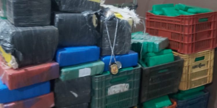 Polícia Civil apreende mais de 500 quilos de maconha em Foz