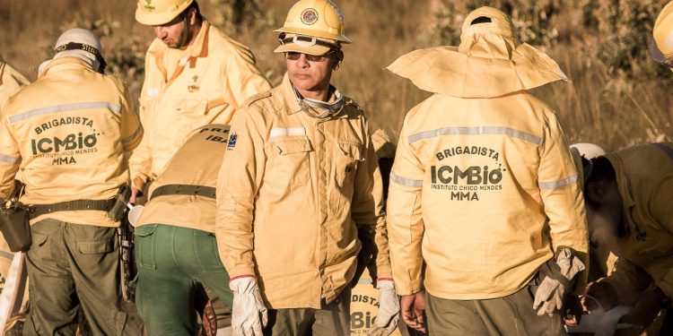 Inscrições do Processo Seletivo Agente Temporário Ambiental para o PNI estão abertas