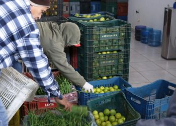 Banco de Alimentos de Foz do Iguaçu atende a mais de 20 mil pessoas no primeiro quadrimestre de 2022