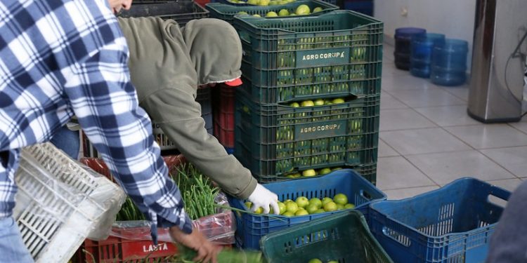 Banco de Alimentos de Foz do Iguaçu atende a mais de 20 mil pessoas no primeiro quadrimestre de 2022