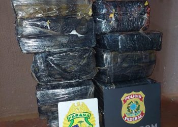 Forças de segurança apreendem 263kg de drogas em Foz