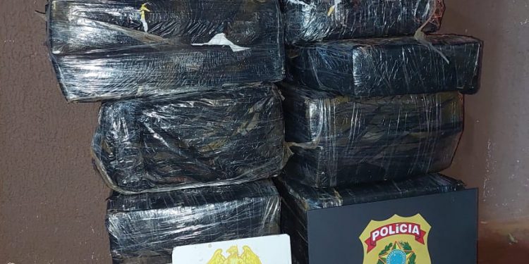 Forças de segurança apreendem 263kg de drogas em Foz